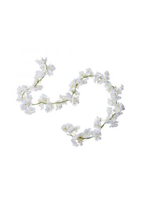  Valkoinen Kirsikka-kukkaköynnös, 1.8m