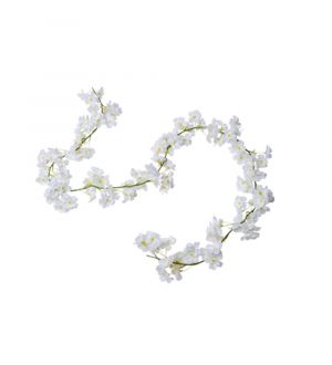  Valkoinen Kirsikka-kukkaköynnös, 1.8m