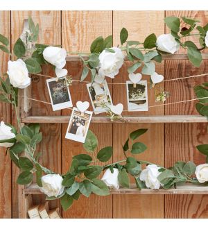  Ruusuköynnös, valkoiset ruusut, 2m