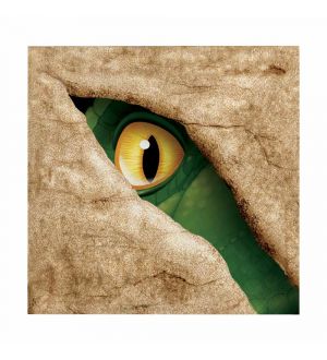  Lautasliinat, Dinosaurus silmä, 16 kpl