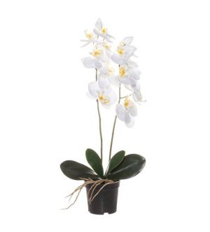  Valkoinen Orkidea ruukussa - Tekokasvi, 59 cm