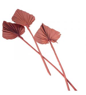  Kuivatut Palmunlehdet 55cm, Terracotta, 10 kpl