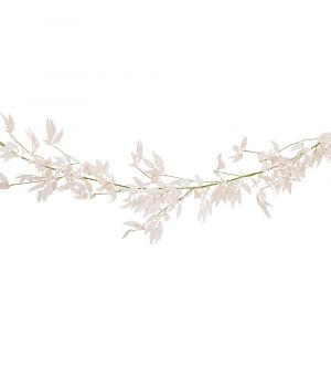  Vaaleanpuniainen lehtiköynnös, Ruskus, 1.9M