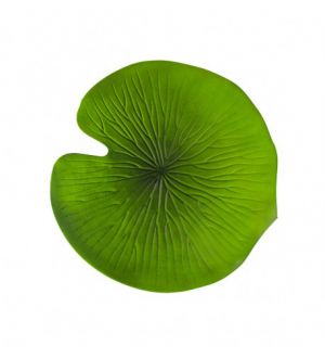  Iso Vesililjalehti, 38,5cm