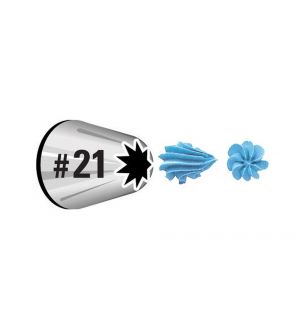Wilton Wiltonin tähtitylla #21