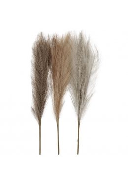  Keinotekoinen Pampas ruoho, Rusk/Harm