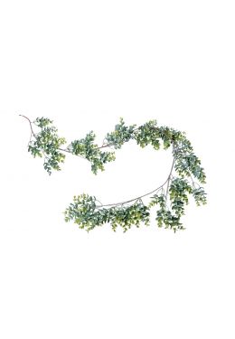  Pienilehtinen eukalyptus köynnös 1,7m