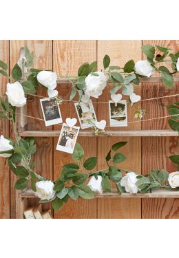  Ruusuköynnös, valkoiset ruusut, 2m