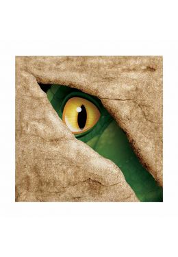  Lautasliinat, Dinosaurus silmä, 16 kpl