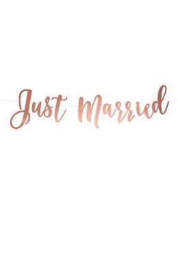  Banneri Just Married - Ruusukulta